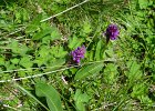2012-06-15_1st_trail