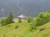 IMG_0141