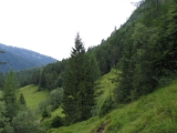 STG_0103