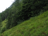 STH_0104