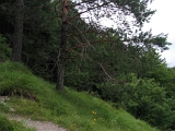 STM_0109