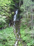IMG_0181