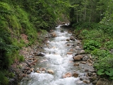 IMG_0183