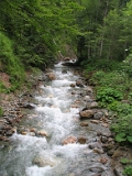 IMG_0184