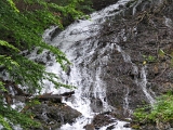 IMG_0194