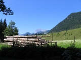 IMG_0346