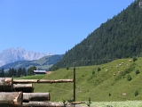 IMG_0348