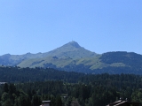 IMG_0354