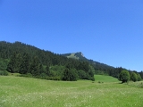 IMG_0359
