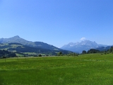 IMG_0364