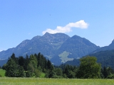 IMG_0365