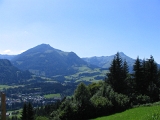 IMG_0368