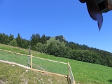 IMG_0380
