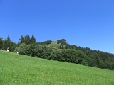 IMG_0382