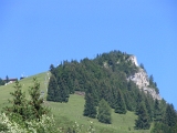 IMG_0383