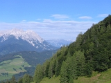 IMG_0405