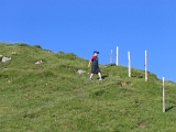IMG_0425