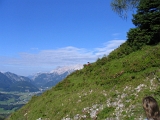 IMG_0439
