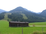 IMG_0663