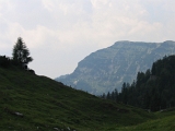 IMG_0062