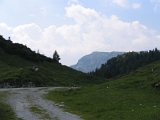 IMG_0063