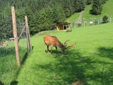 IMG_0309