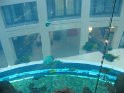 IMG_0334