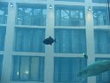 IMG_0338