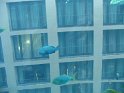 IMG_0343