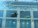 IMG_0355