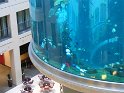 IMG_0391
