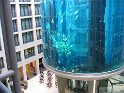 IMG_0395