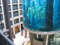 IMG_0396
