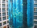 IMG_0397