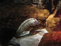 IMG_0319