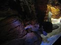 IMG_0320