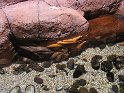 IMG_0325