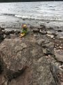 2018-09-01_13-35-59