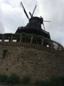 IMG_3803