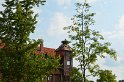 DSC_1716