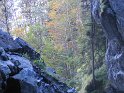IMG_0922
