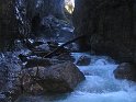 IMG_0924