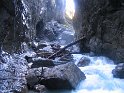 IMG_0925