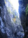 IMG_0928