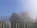 IMG_0959