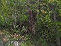 IMG_0969