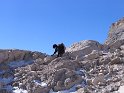 IMG_1018