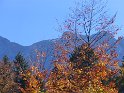IMG_1067