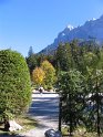 IMG_1081