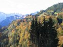 IMG_1111